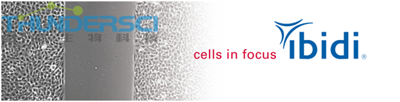 &auml;&frac14;&curren;&aring;?&pound;&aelig;??&aring;??